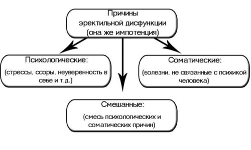 С возрастом ухудшается работа всех систем организма, в том числе мочеполовой. У мужчин наблюдается постепенное ухудшение потенции и снижение либидо