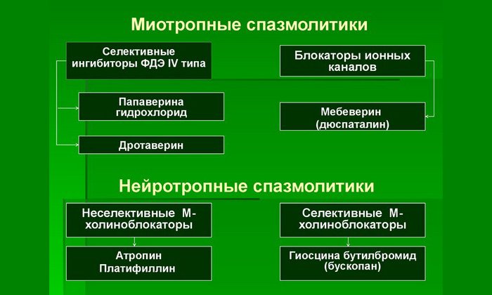 Дротаверин является спазмолитиком миотропного характера, который близок по своим химическим характеристикам к папаверину. При этом его воздействие можно охарактеризовать как более выраженное