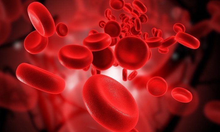 Увеличение уровня вещества препарата в крови способствует снижению возможности развития опасного влияния гликозидов на сердце